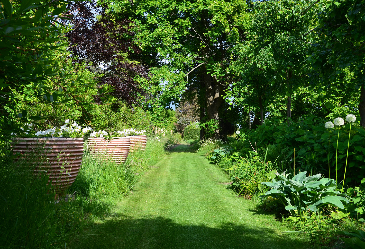 Blick in den Wilsdruffer Schaugarten. Rasenweg gesäumt von Staudenrabatten und Gehölzen.